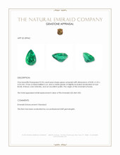 0.96 Ct. Emerald from Russia Appraisal