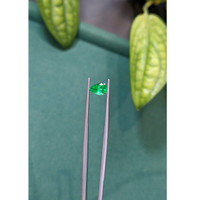 0.96 Ct. Emerald from Russia Life Style