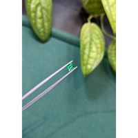 0.54 Ct. Emerald from Russia Life Style