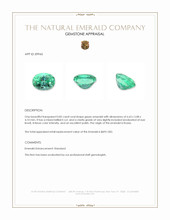 0.82 Ct. Emerald from Russia Appraisal