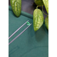 0.82 Ct. Emerald from Russia Life Style