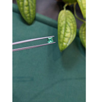 0.88 Ct. Emerald from Russia Life Style