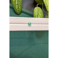 0.88 Ct. Emerald from Russia Life Style