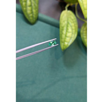 0.60 Ct. Emerald from Russia Life Style