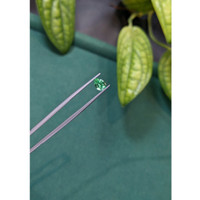 0.80 Ct. Emerald from Russia Life Style