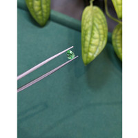 0.78 Ct. Emerald from Russia Life Style