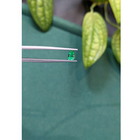 0.46 Ct. Emerald from Russia Life Style