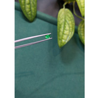 0.50 Ct. Emerald from Russia Life Style