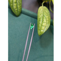 0.87 Ct. Emerald from Russia Life Style