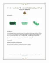 0.81 Ct. Emerald from Russia Appraisal