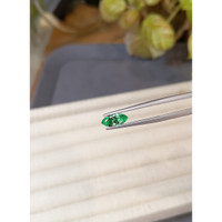 0.84 Ct. Emerald from Russia Life Style