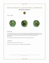 18.12 Ct. Green Star Tourmaline from Mozambique Appraisal