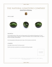 18.84 Ct. Star Tourmaline from Mozambique Appraisal