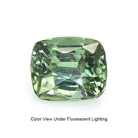 1.02 Ct. Alexandrite from Madagascar Video