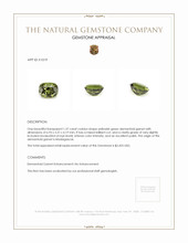 1.37 Ct. Demantoid Garnet from Madagascar Appraisal