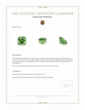 1.37 Ct. Demantoid Garnet from Madagascar Appraisal