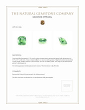 1.22 Ct. Demantoid Garnet from Madagascar Appraisal