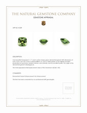1.17 Ct. Demantoid Garnet from Madagascar Appraisal