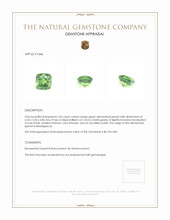 1.06 Ct. Demantoid Garnet from Madagascar Appraisal
