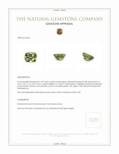 1.05 Ct. Demantoid Garnet from Madagascar Appraisal