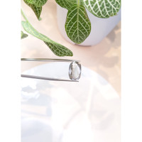 7.72 Ct. Zircon from Ceylon (Sri Lanka) Life Style