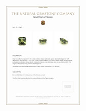 1.04 Ct. Demantoid Garnet from Madagascar Appraisal