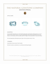 Jewelry Appraisal