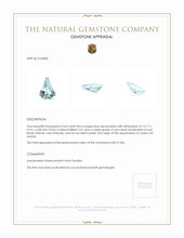 3.65 Ct. Aquamarine from Ceylon (Sri Lanka) Appraisal