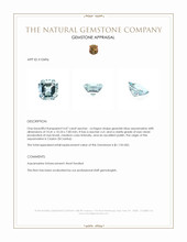 4.47 Ct. Aquamarine from Ceylon (Sri Lanka) Appraisal