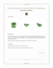 1.03 Ct. Demantoid Garnet from Madagascar Appraisal