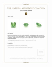 1.03 Ct. Demantoid Garnet from Madagascar Appraisal