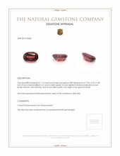 1.15 Ct. Garnet from Brazil Appraisal