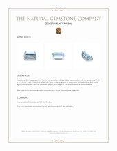 1.11 Ct. Aquamarine from Mozambique Appraisal