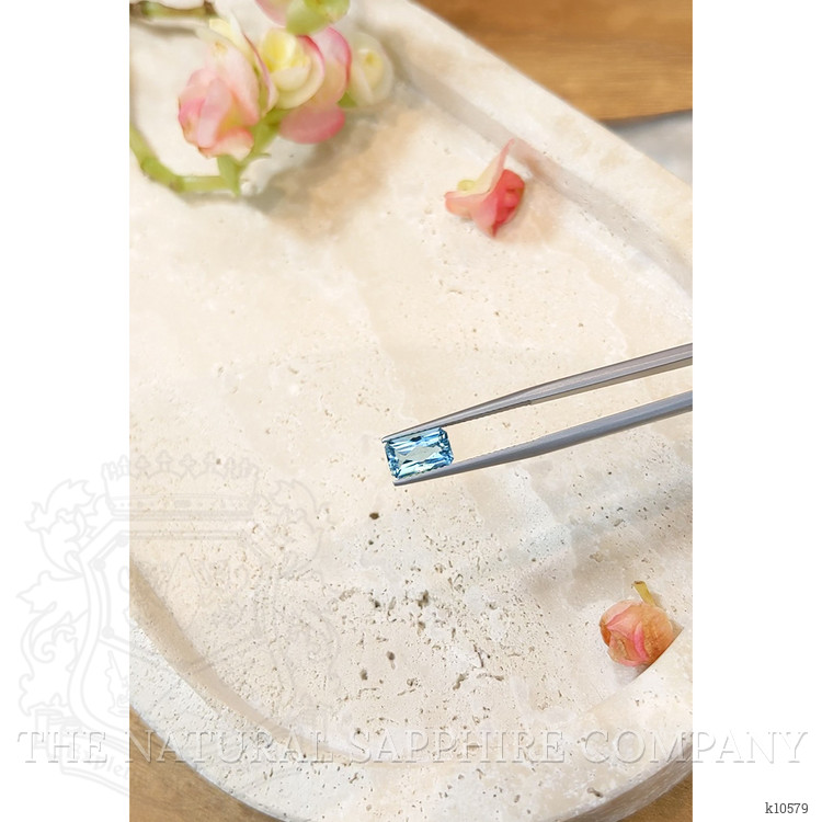 1.21 Ct. Aquamarine from Mozambique