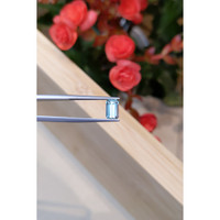 1.31 Ct. Aquamarine from Mozambique Life Style