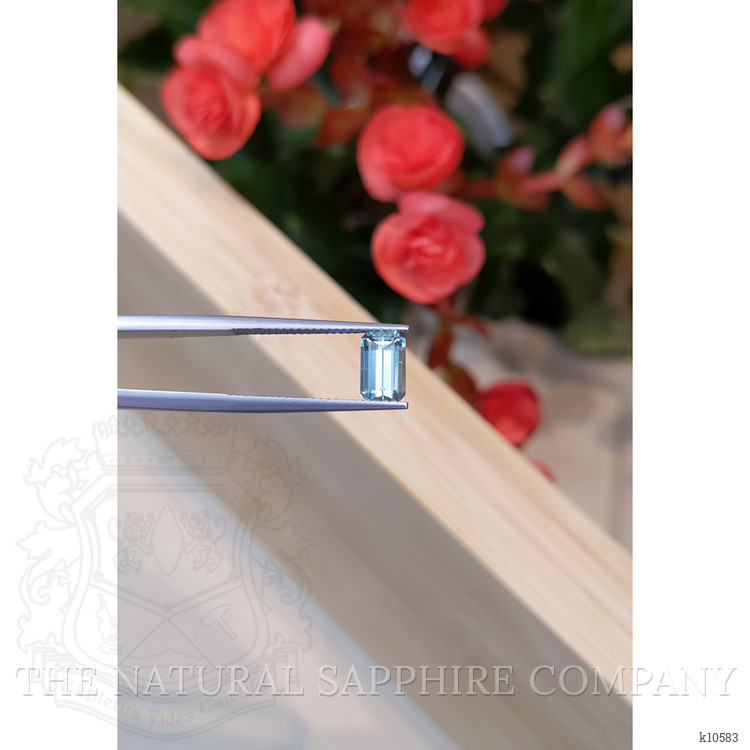 1.17 Ct. Aquamarine from Mozambique