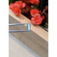 1.37 Ct. Aquamarine from Mozambique Life Style