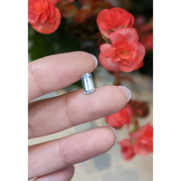 1.20 Ct. Aquamarine from Mozambique Life Style