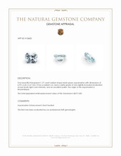 1.27 Ct. Bluish Green Aquamarine from Mozambique Appraisal