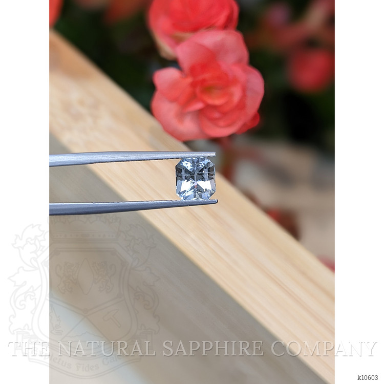 1.27 Ct. Aquamarine from Mozambique