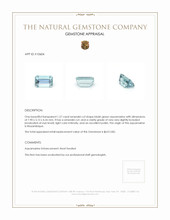 1.27 Ct. Aquamarine from Mozambique Appraisal
