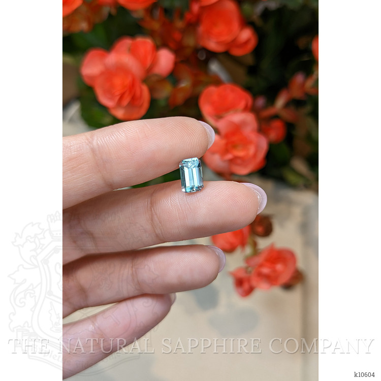 1.27 Ct. Aquamarine from Mozambique