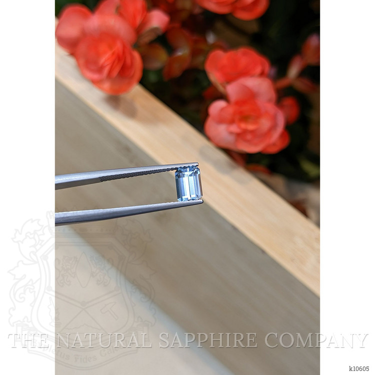 1.13 Ct. Aquamarine from Mozambique