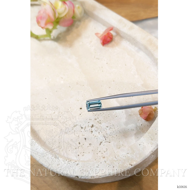 1.23 Ct. Aquamarine from Mozambique