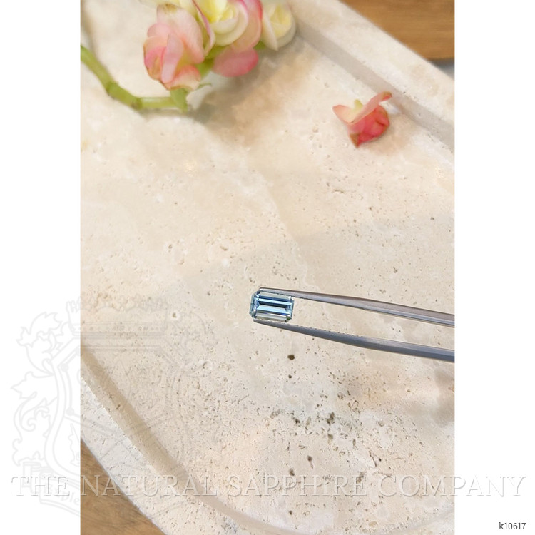 1.23 Ct. Aquamarine from Mozambique