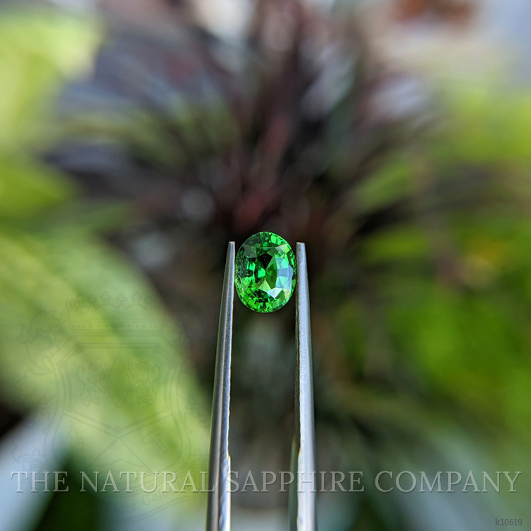 1.07 Ct. Tsavorite Garnet from Kenya