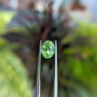 2.19 Ct. Grossular Garnet from Kenya Life Style