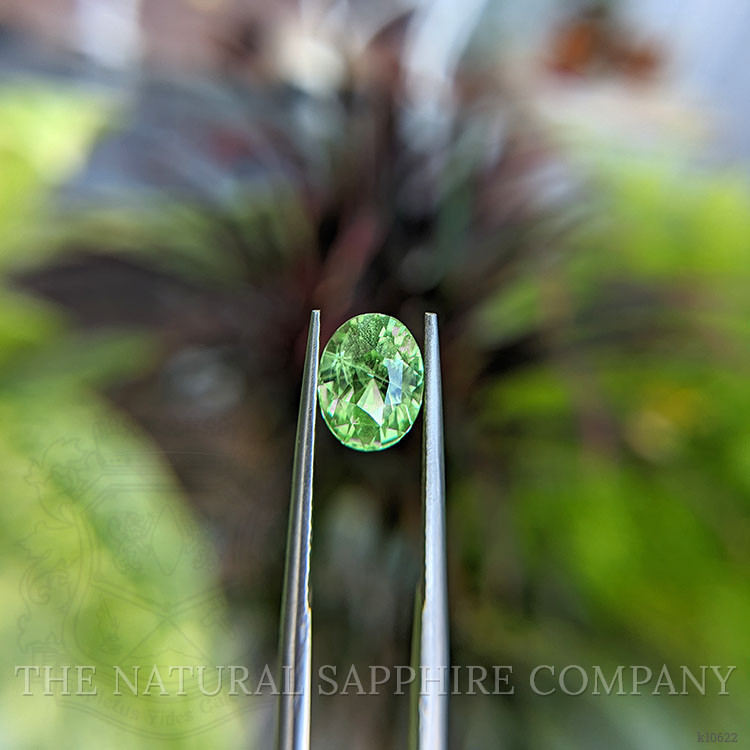 2.19 Ct. Grossular Garnet from Kenya