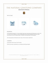 1.02 Ct. Blue Aquamarine from Mozambique Appraisal