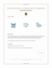 1.02 Ct. Aquamarine from Mozambique Appraisal